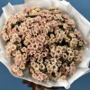 51 кустовая хризантема Капуцино