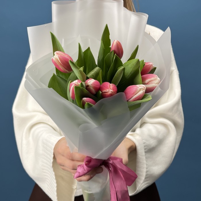 9 малиновых тюльпанов Камалия