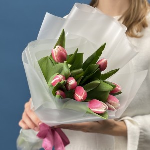 9 малиновых тюльпанов Камалия