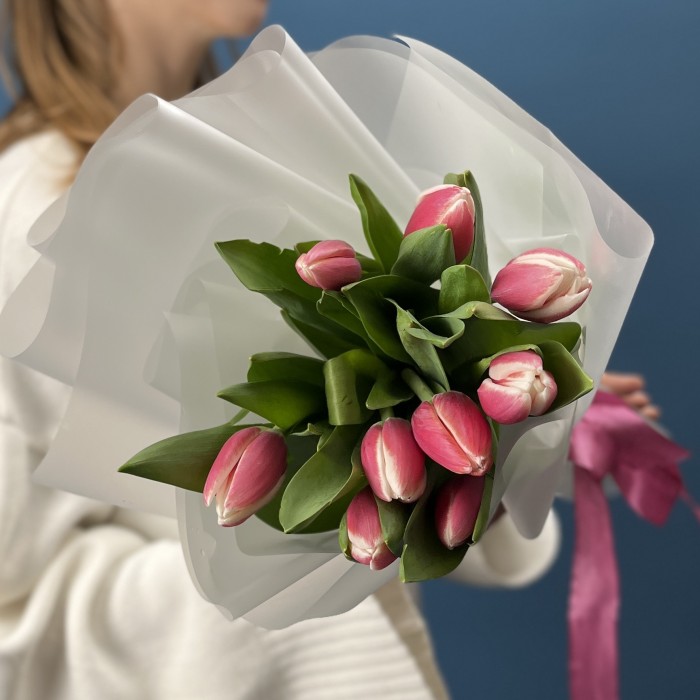 9 малиновых тюльпанов Камалия