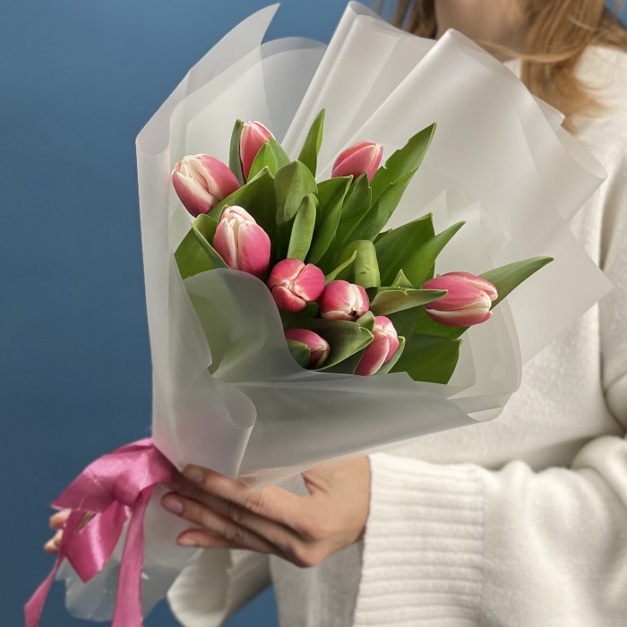 9 малиновых тюльпанов Камалия