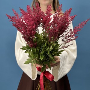 Астильба красная