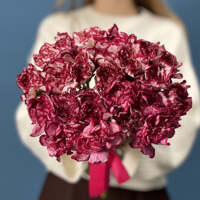 Гвоздика белая с бордовым краем