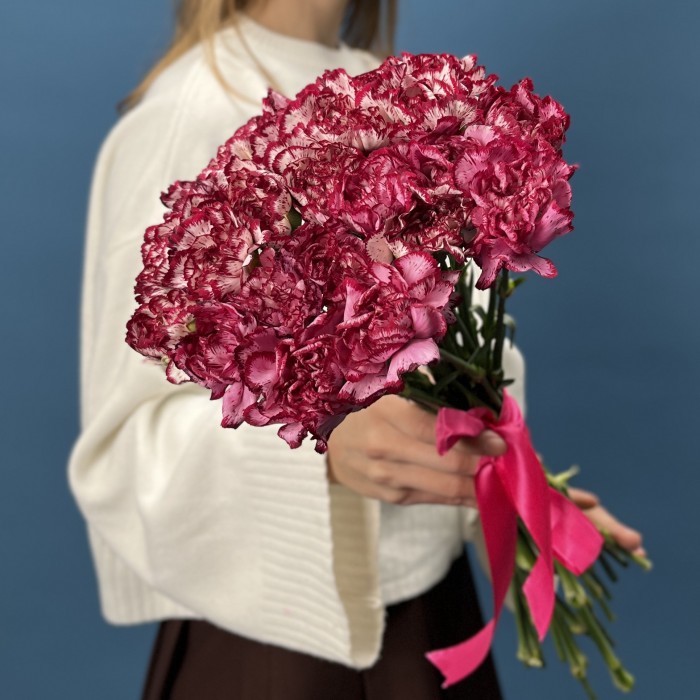 Гвоздика белая с бордовым краем