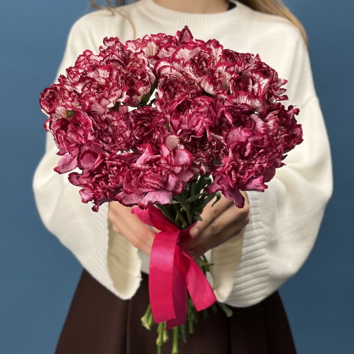 Гвоздика белая с бордовым краем