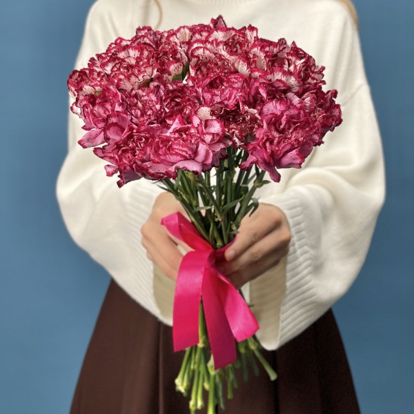 Гвоздика белая с бордовым краем