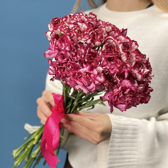 Гвоздика белая с бордовым краем