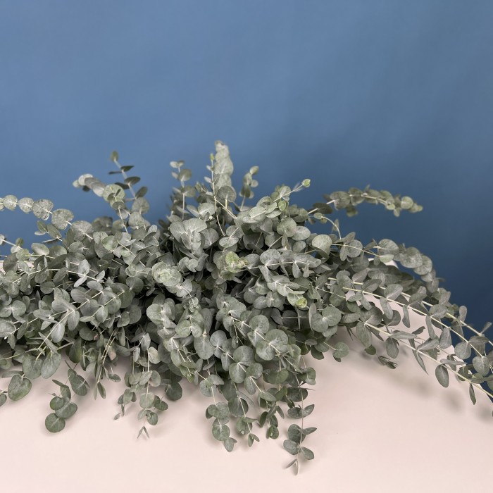 Настольная композиция Свежесть Эвкалипта