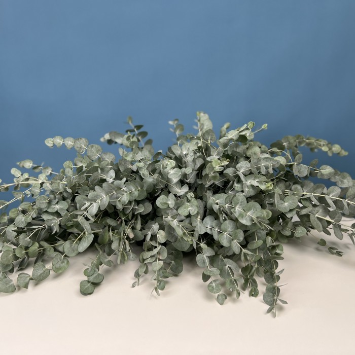 Настольная композиция Свежесть Эвкалипта