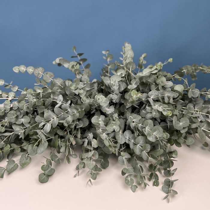 Настольная композиция Свежесть Эвкалипта