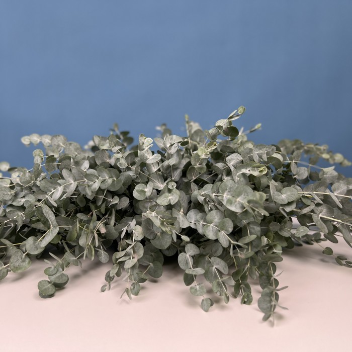 Настольная композиция Свежесть Эвкалипта