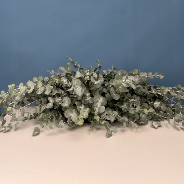 Настольная композиция Свежесть Эвкалипта