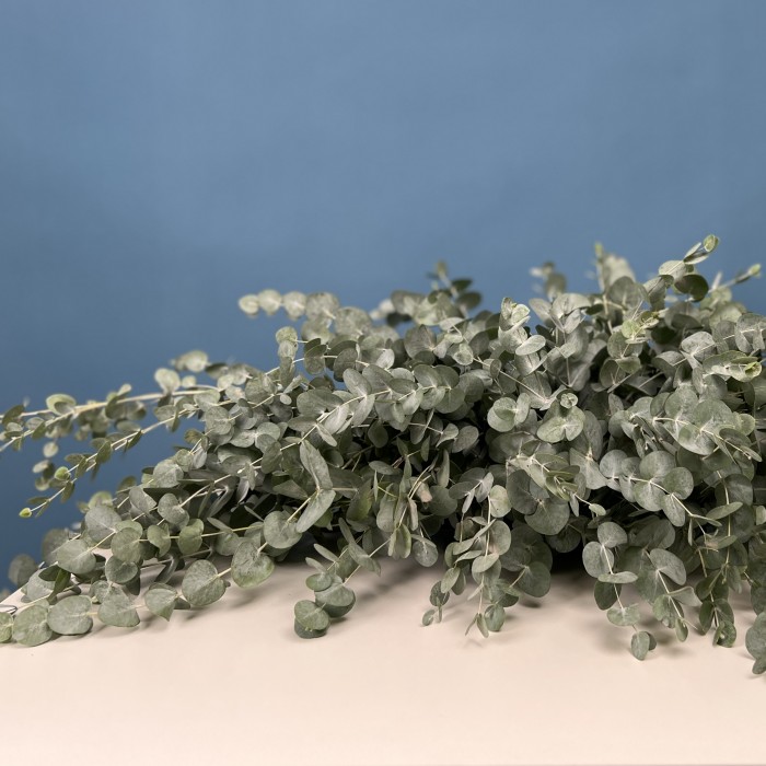 Настольная композиция Свежесть Эвкалипта