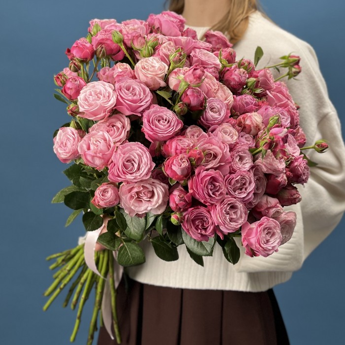 Кустовая пионовидная Роза Леди Бомастик 50 см