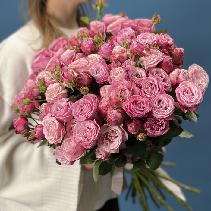 Кустовая пионовидная Роза Леди Бомастик 50 см