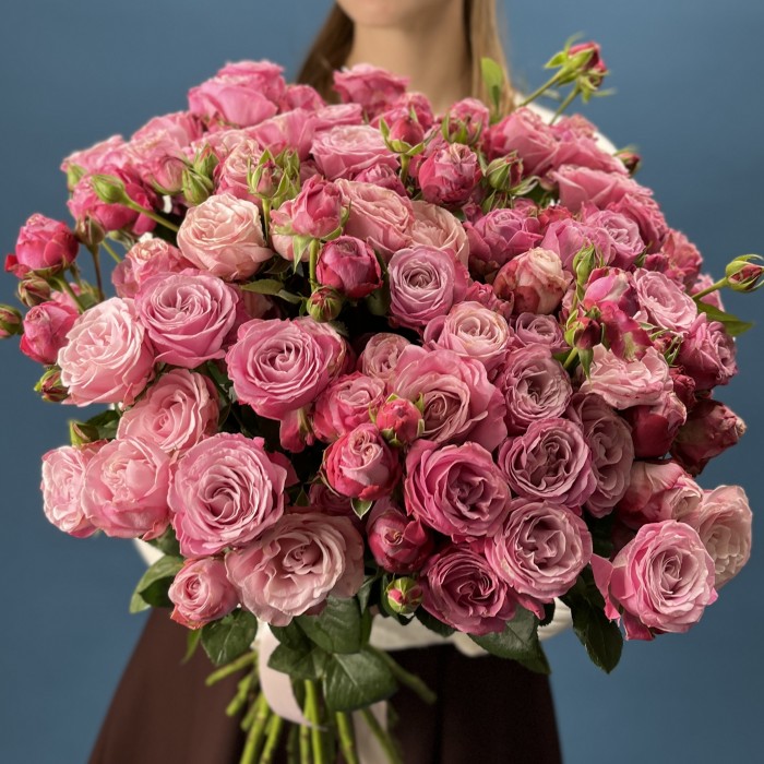 Кустовая пионовидная Роза Леди Бомастик 50 см