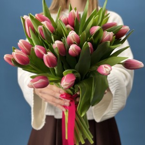 Тюльпан малиновый Камалия