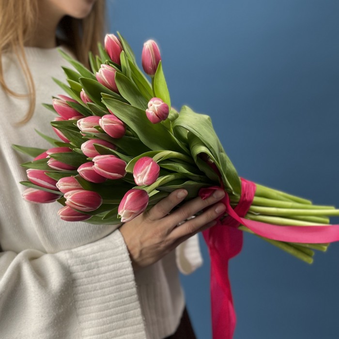 Тюльпан малиновый Камалия