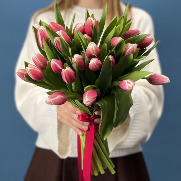 Тюльпан малиновый Камалия