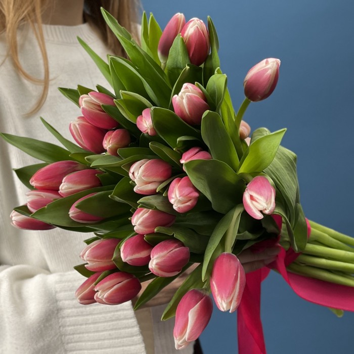 Тюльпан малиновый Камалия