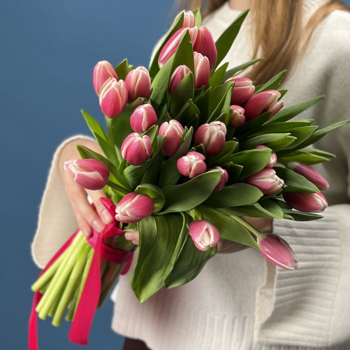 Тюльпан малиновый Камалия