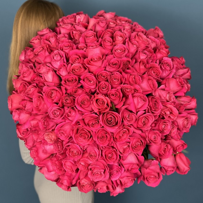 151 ароматная розовая роза Пинк Флойд 70 см