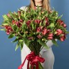 51 красная альстромерия