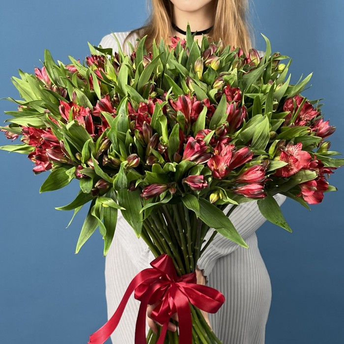 51 красная альстромерия