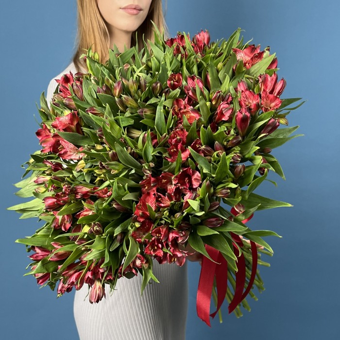 51 красная альстромерия