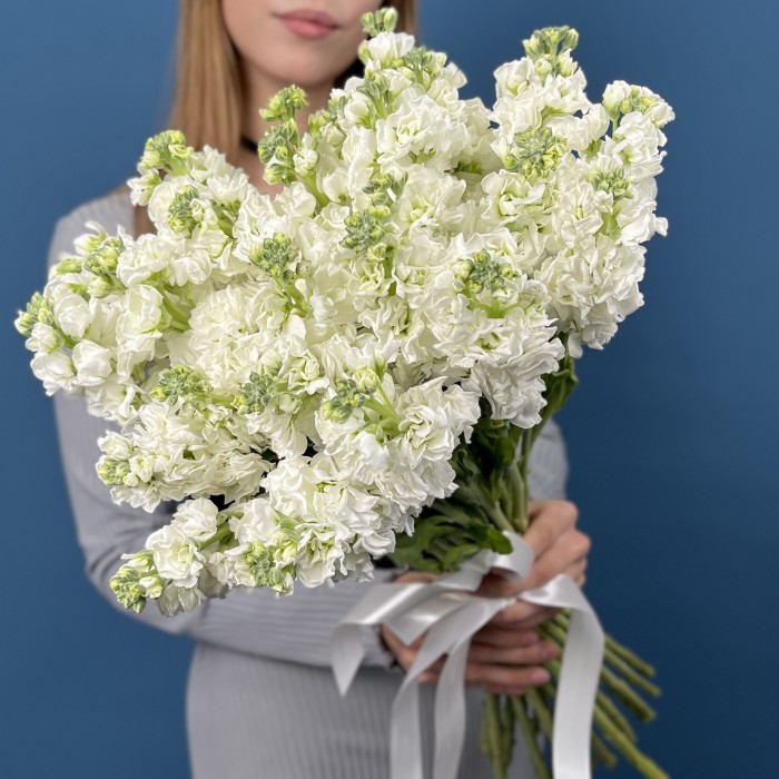 Маттиола белая