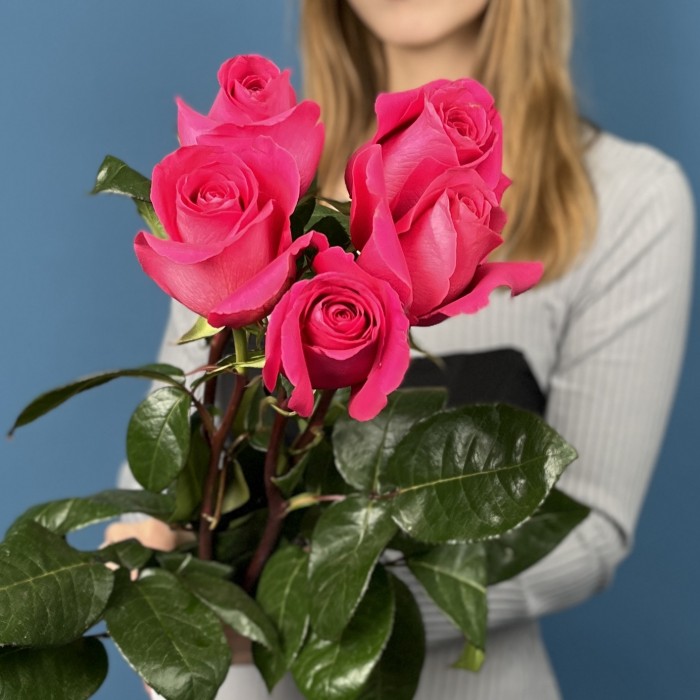 5 малиновых роз Пинк Флойд 70 см