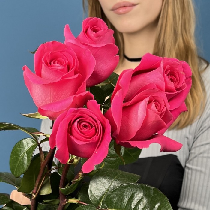 5 малиновых роз Пинк Флойд 70 см