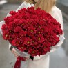 15 бордовых кустовых хризантем Бакарди