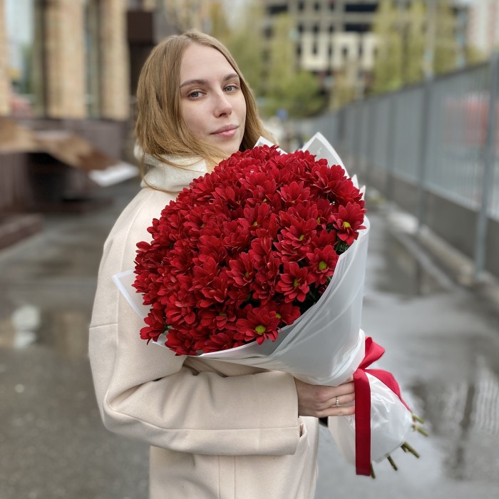 15 бордовых кустовых хризантем Бакарди