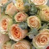 15 кремовых пионовидных роз Гравити 40 см с эвкалиптом