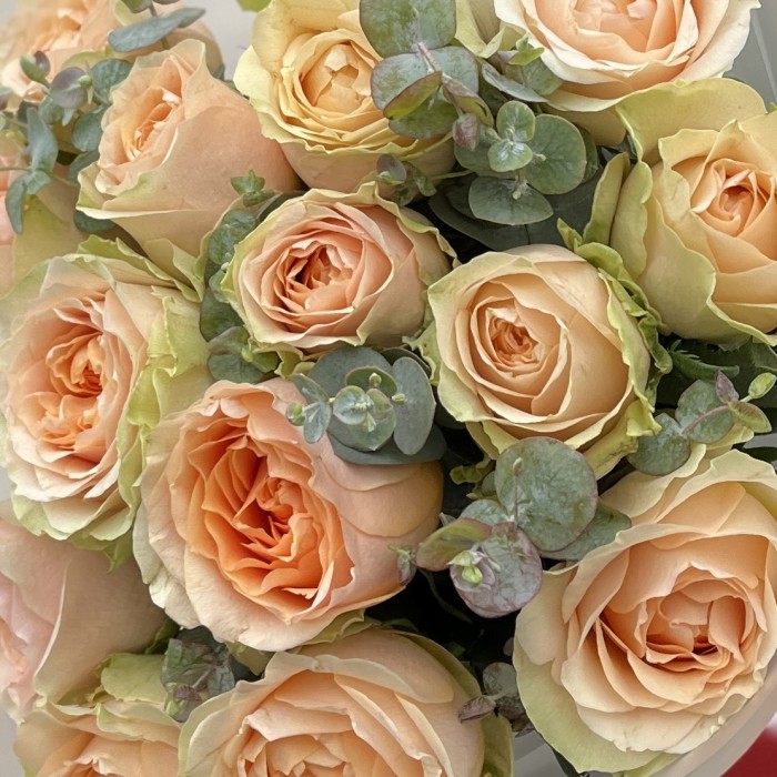 15 кремовых пионовидных роз Гравити с эвкалиптом