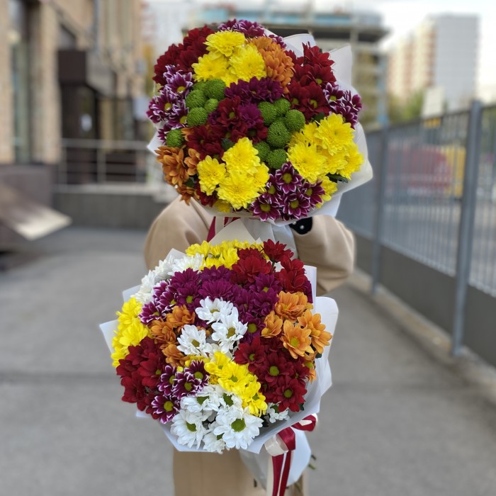 15 кустовых хризантем Mix