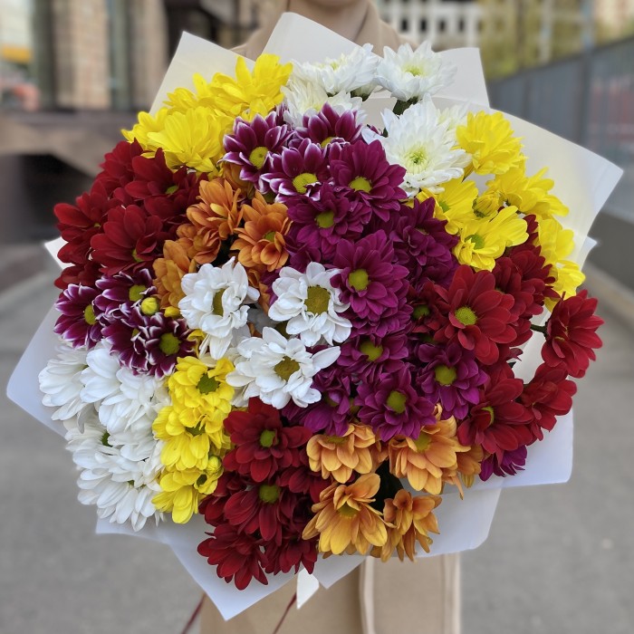 15 кустовых хризантем Mix