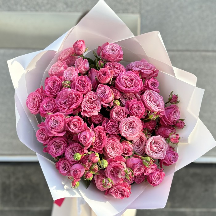 15 кустовых пионовидных роз Леди Бомбастик 60 см