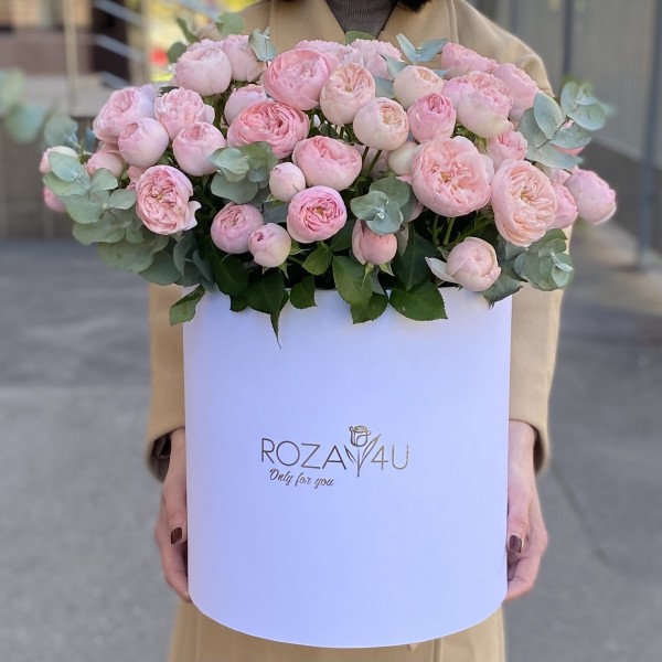 25 кустовых пионовидных роз Мансфилд Парк в коробке