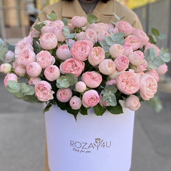 25 кустовых пионовидных роз Мансфилд Парк в коробке