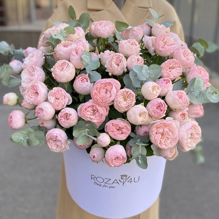 25 кустовых пионовидных роз Мансфилд Парк в коробке