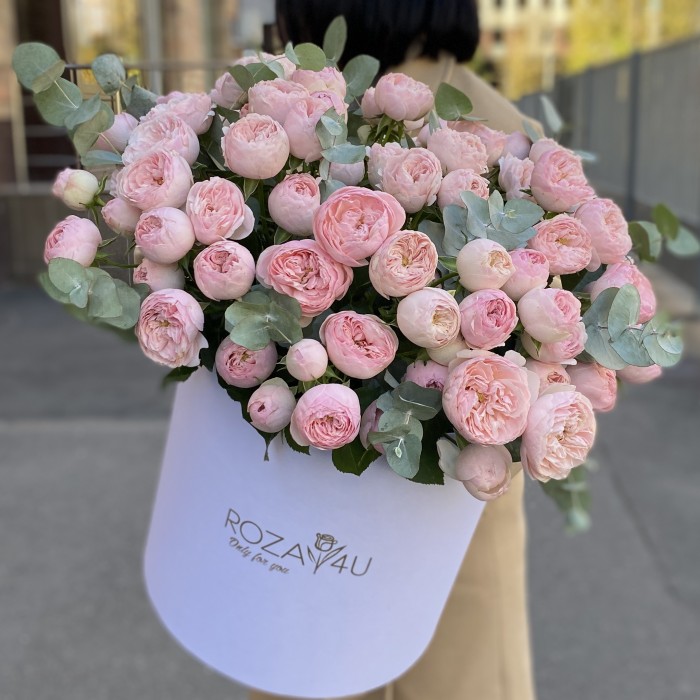 25 кустовых пионовидных роз Мансфилд Парк в коробке