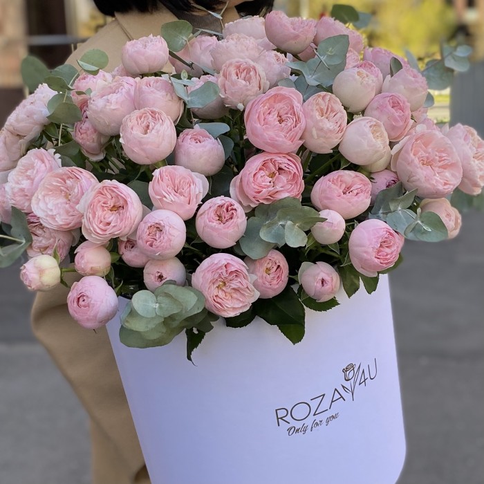 25 кустовых пионовидных роз Мансфилд Парк в коробке