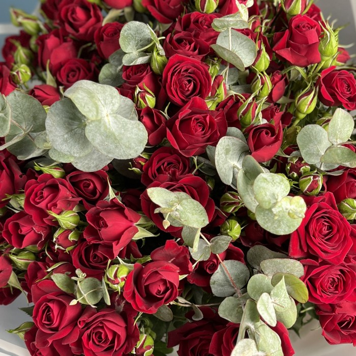 15 красных кустовых роз Рубикон 70 см с эвкалиптом