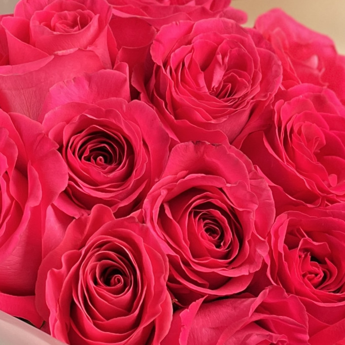 15 малиновых роз Пинк Флойд 60 см