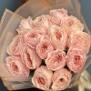 15 нежно-розовых пионовидных Тсумуги