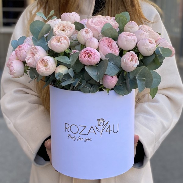 15 пионовидных кустовых роз Мансфилд Парк в коробке