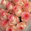 15 светло-розовых роз Джумилия 60 см
