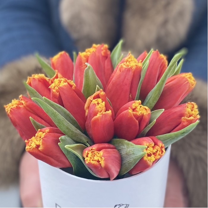 15 ярких тюльпанов в коробке